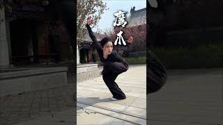 武术合集来啦！大家还想看什么拳？ #武术 #中华武术博大精深 #太极