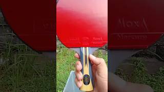 Setting DHS Hurricane 301T + Yinhe Mercury 2 1.8mm(FH) + Yinhe Mercury 2 1.5mm(BH) #pingpong