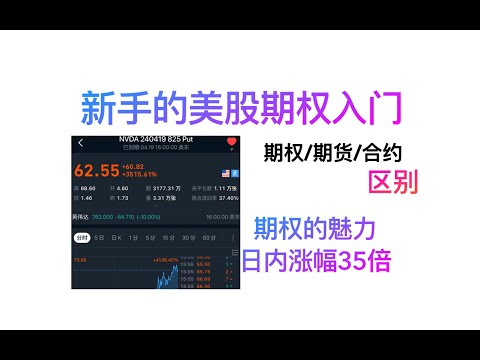 亏损有限盈利无限的美股期权新手入门/美股进阶期权交易/小白期权入门