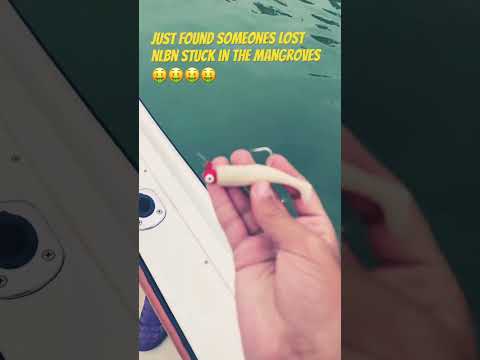 i love finding lost lures