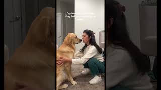Funny dog videos#dogs#dogs#dogslover #dogshorts #funnydogs#youtubeshorts#yn
