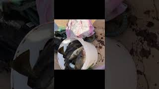 DIY Fishing method in Norway with fishing rod #Shorts