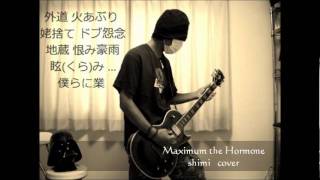 Maximum the Hormone - shimi