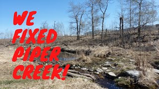 How to Repair a Creek | Piper Creek Restoration Project