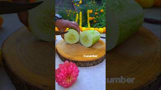 Cucumber Pachadi recipe| Onam sadhya special recipes Kerala flavor in Hindi