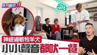 煉狗術師 III ｜EP22 Part1｜神經過敏牧羊犬 小小聲音都吠一餐｜ Eric Ko ｜ 鄺芷凡 ｜ 陳柏宇 ｜ 區子琳 ｜ 喜樂蒂牧羊犬 ｜HOY｜HOYTV
