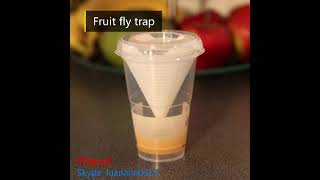 Reusable Plastic Pest Control Insect Bug Cather Live Catch Fruit Fly Trap