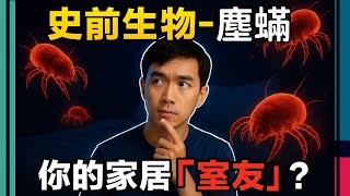塵蟎的古老秘密：從寄生蟲到家居「室友」| 物理防蟎和濕度控制可行嗎? | 家中塵蟎密集區大揭秘 | 塵蟎最愛的隱藏食物究竟是什麼？| 塵蟎最愛的隱藏食物究竟是什麼？