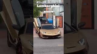 car collection /Lamborghini car.                  new car vlog