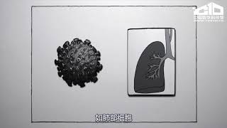 冠状病毒的烈性从何而来  中国数字科技馆