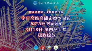3月18日 第四场直播 极致绽放