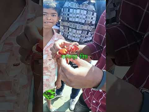 cox's bazar tour