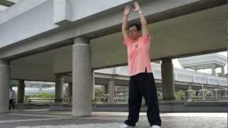 華佗五禽之戲練習2012/05 (Five animals frolics)