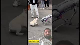 Real Dog Vs AI Robot Dog Fight | 💪 Who will win? #robotdog #shorts #ai