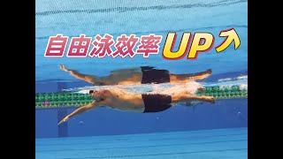 【游泳教学】自由泳效率怎么样提升？
