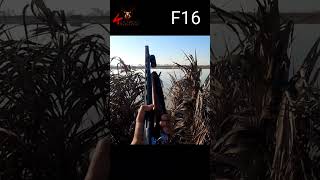 F16 down