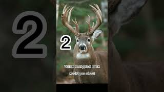 Which nontypical deer would you shoot