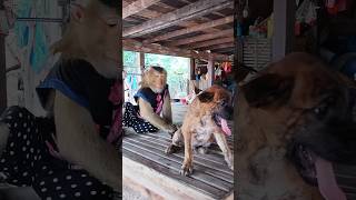 Great video of fun SokYaa, Phao,ToTo Are Harmony WILL MAKE YOU SMILE #shorts