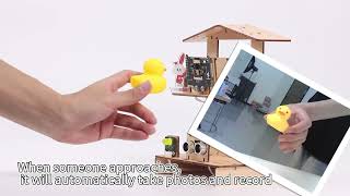DIY STEM Electronics project kits