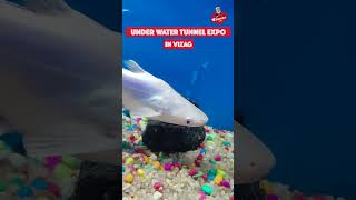 Under Water Tunnel Expo at #Vizag | Shorts