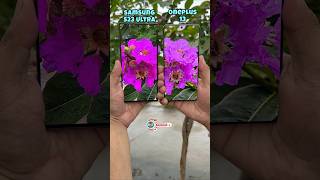 Samsung S23 Ultra Vs Oneplus 13 Camera Test