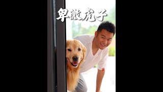道高一尺，魔高一丈😂#零跑汽车 #零跑B01 #金毛路虎 #乡村守护人