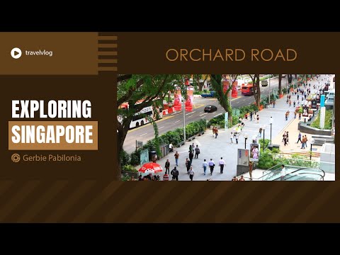 #singaporetravel 2024 / Orchard Road / Best city-based tourist spots