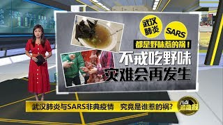 八点最热报 31/01/2020  武汉肺炎与SARS   都是野味惹祸!