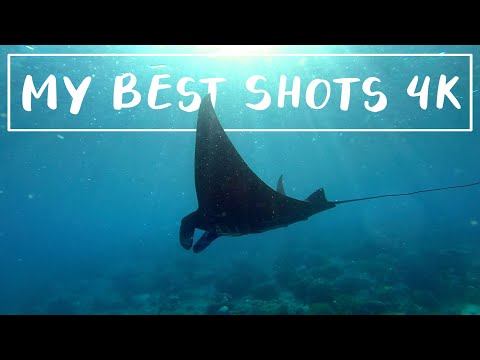 My Best Shots 4k - 2020