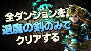 オールダンジョン装備縛り攻略解説『マスターソード編』【ゼルダの伝説 ティアーズ オブ ザ キングダム】