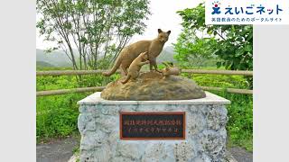 20230424 a Okinawa tackles overtourism on Iriomote Island