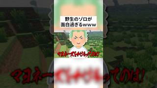 【実話】野良のゾロが面白すぎるwwwww