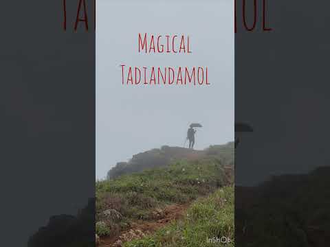 Walking among clouds #karnataka #hiking #shorts