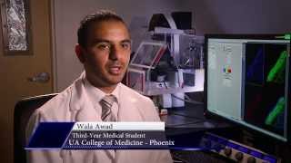 Research: Medical Student Perspective; Fellowship at Barrow
