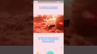 清除细胞