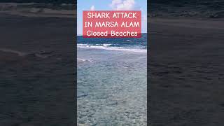 "Shark Attack in Marsa Alam, Egypt 2025 🦈🌊 Shocking Incident 2024 Closed Beaches