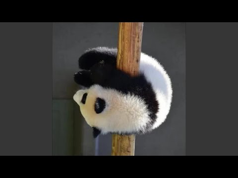十字符号 (完整版)