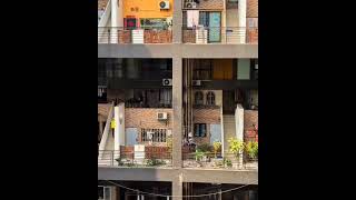Unique Building#building #construction #constructionsite #constructionlife #constructiontips #unique