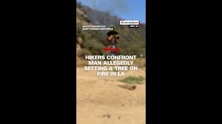 Hikers confront man allegedly setting a tree on fire in LA
