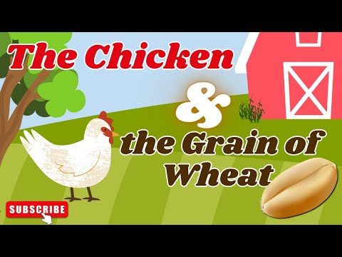 The new story : THE CHICKEN AND THE GRAIN OF WHEAT | FOR BEGINNERS| ABC JOY