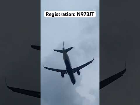 JetBlue Airways Airbus A321 landing at John F. Kennedy Airport #jetblue #airbus #aviation