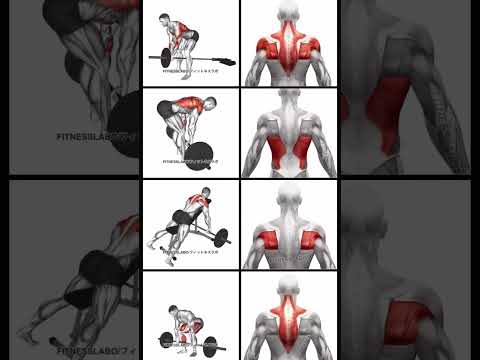 Back #exercise #gym #workout #shorts #youtubeshorts