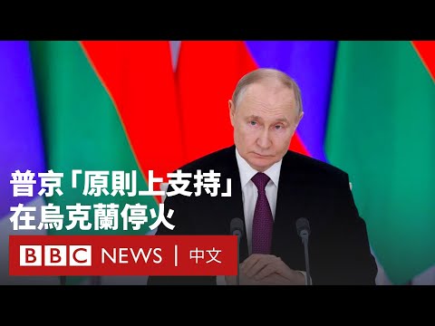 普京提出與烏克蘭停火條件  澤連斯基指責其是「欺騙性的」－ BBC News 中文