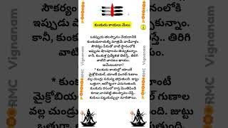 కుంకుడు కాయలు మేలు #bhaktiintelugu #telugu #sivaya #hindudevotional  #teluguslokas #bhaktistories