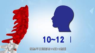 【健康冷知識1分鐘．脊骨神經科篇】骨刺可以痊癒嗎？