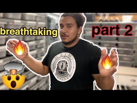 LORDELION ball python collection tour (part 2) *NEVER BEFORE SEEN*"