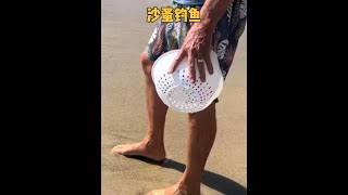 真假沙蚤釣魚大對決：漁民實測哪種誘餌更有效！ #釣魚