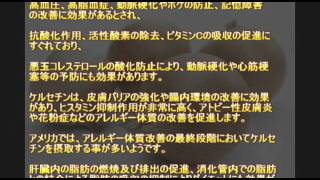 ケルセチンの効果