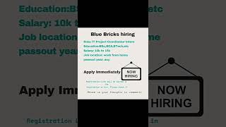 IT Project Coordinator Intern | Blue Bricks Hiring #itcoordinator  #coordinator  #internship