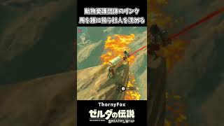 馬を雑に扱う村人を溶岩に沈める動物愛護団体のリンク【ゼルダの伝説 ブレス オブ ザ ワイルド】